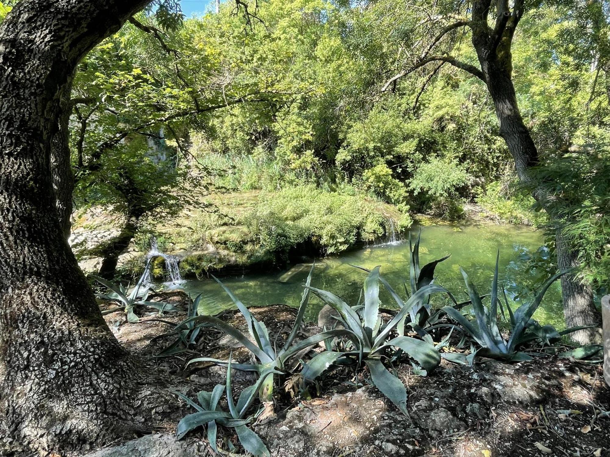 Le Domaine De La Tuilerie - Gite De Charme En Bord De Riviere Avec Piscine Servies-en-Val Rum bild